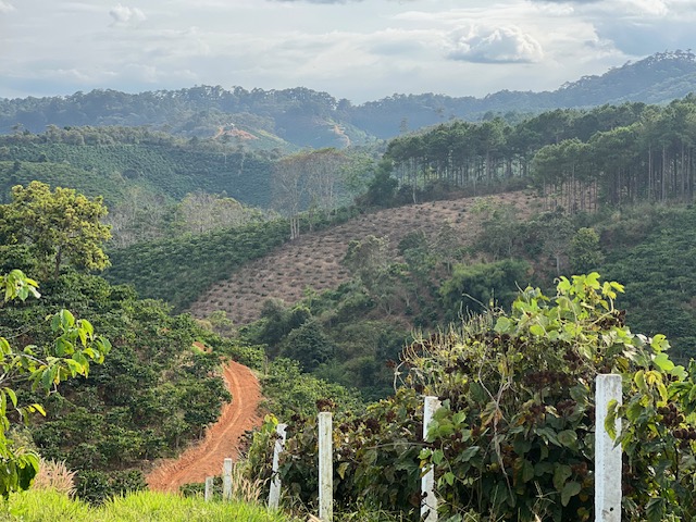 Miss Happy Land — Bao Loc, Vietnam Central Highlands